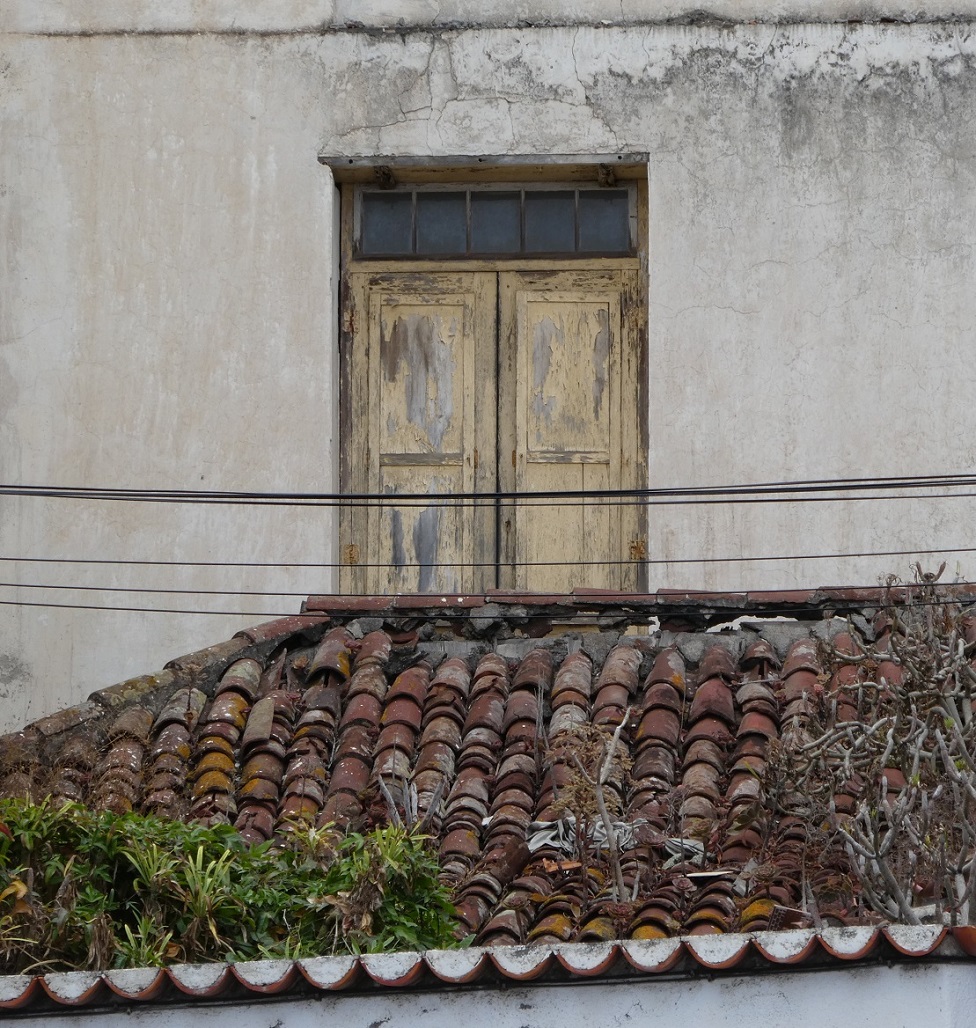 La Palma - Santa Cruz - 2023